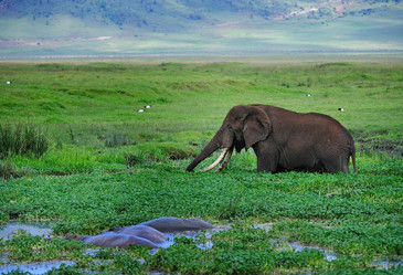 Similar image 769694