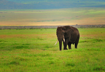 Similar image 769697