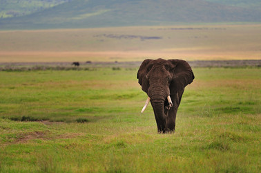 Similar image 769699