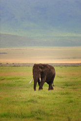 Similar image 769700