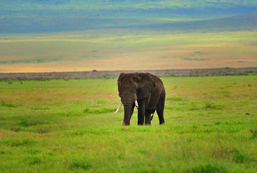 Similar image 769703