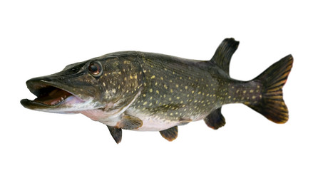 Similar image 769753