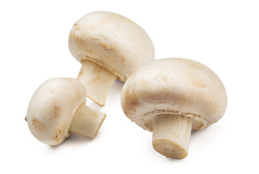 Similar image 769781