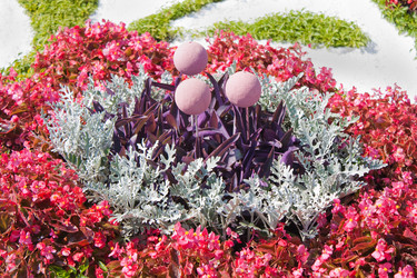 Similar image 769849