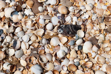 Similar image 769899