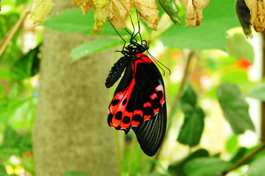 Similar image 769911