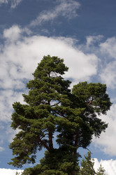 Similar image 769984