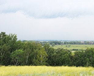 Similar image 770025