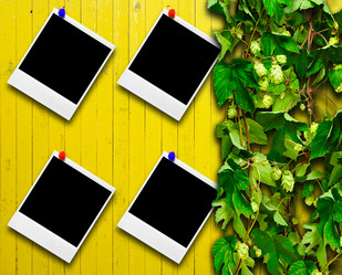 Similar image 770126