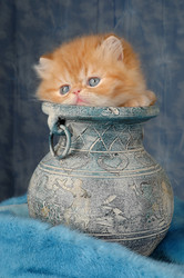 Similar image 770158