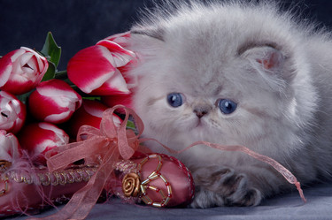 Similar image 770198