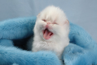 Similar image 770228