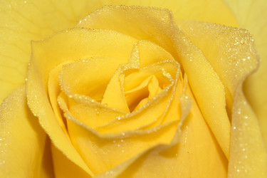 Similar image 770251