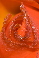 Similar image 770252