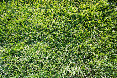 Similar image 770257