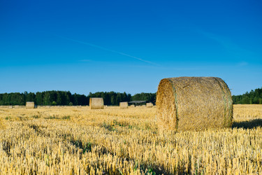 Similar image 770267