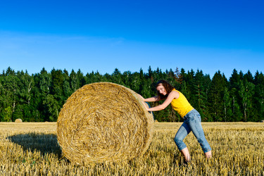 Similar image 770269