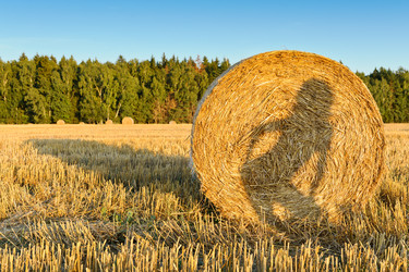 Similar image 770273