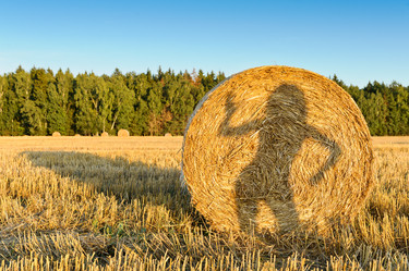 Similar image 770275