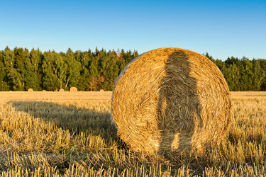 Similar image 770276