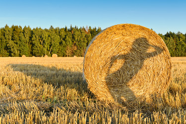 Similar image 770283