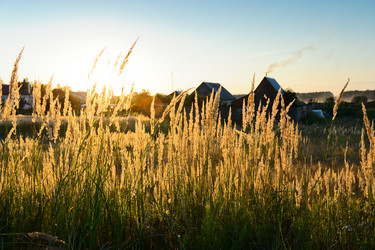 Similar image 770298