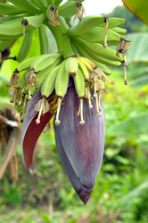 Similar image 770305