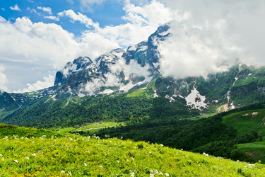 Similar image 770310