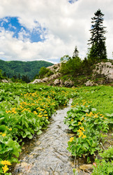 Similar image 770331