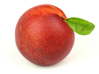 Similar image 770332