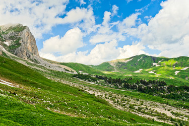 Similar image 770337