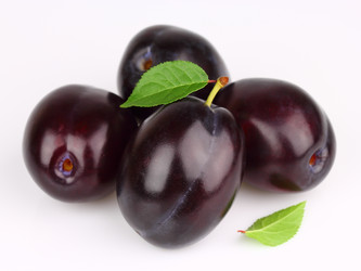 Similar image 770339