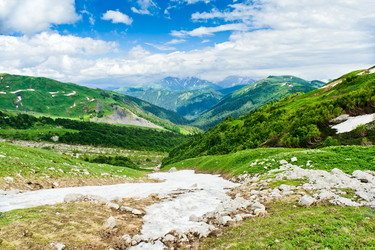 Similar image 770342