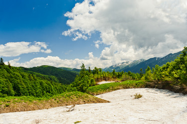 Similar image 770344