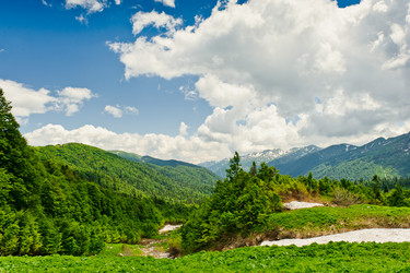 Similar image 770345