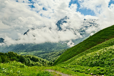 Similar image 770361