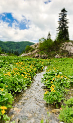 Similar image 770380