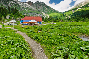 Similar image 770383