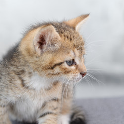 Similar image 770384