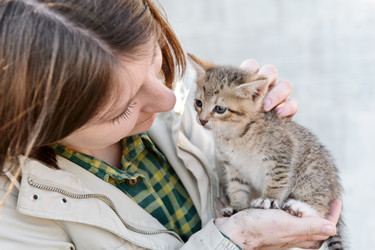 Similar image 770388