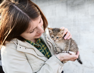 Similar image 770390