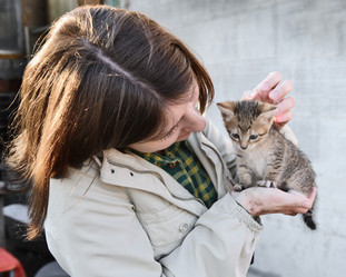 Similar image 770392