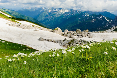 Similar image 770396