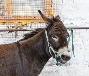 Similar image 770406