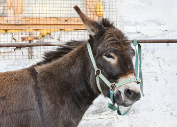 Similar image 770408