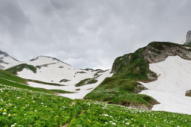 Similar image 770410