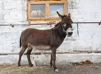 Similar image 770412