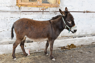 Similar image 770414