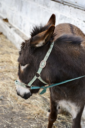 Similar image 770418