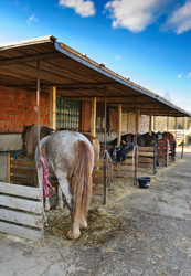 Similar image 770427